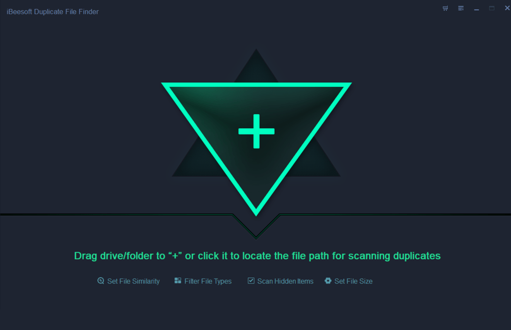 iBeesoft Duplicate File Finder