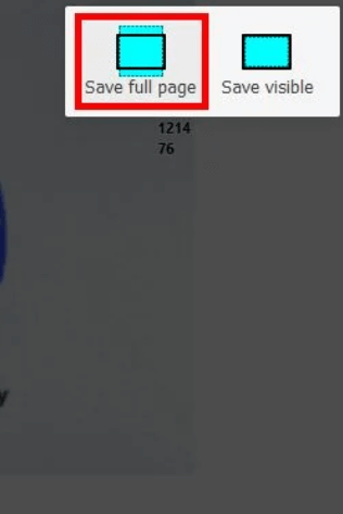 save full page