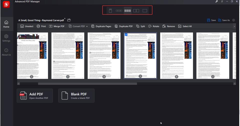 Advanced PDF Manager