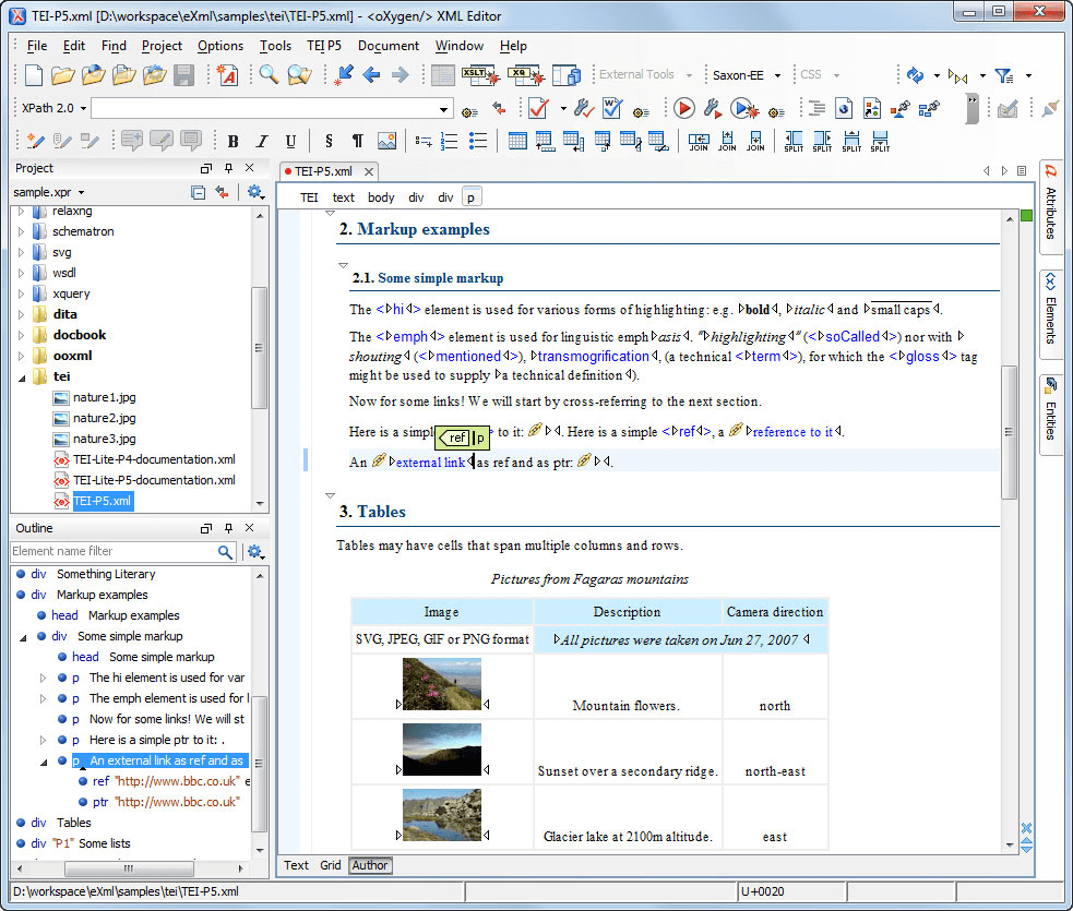 Oxygen XML Editor