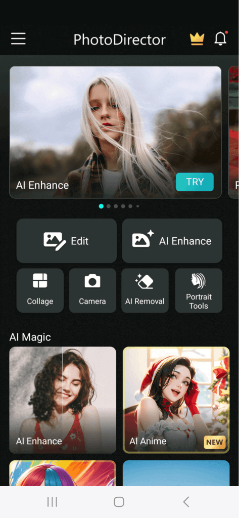 PhotoDirector