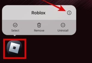 Roblox Cache