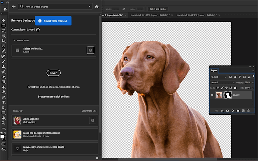 Adobe Premiere Pro