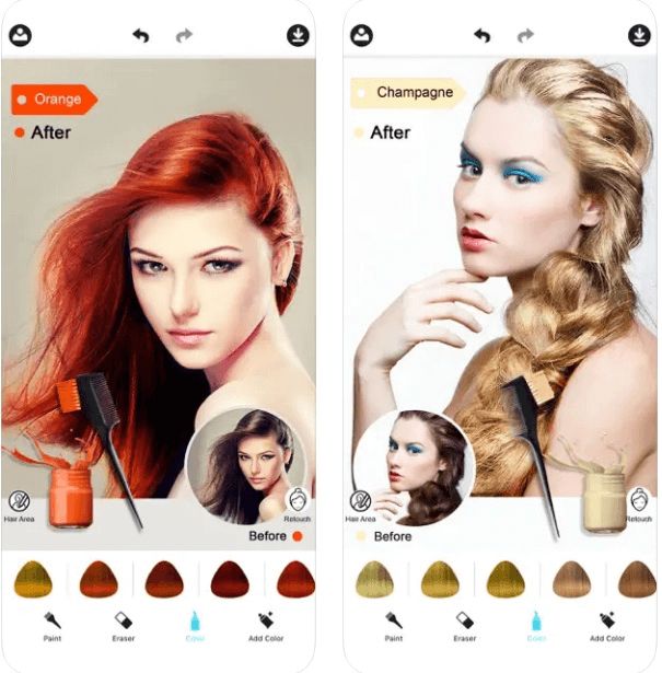 Hair Color Dye