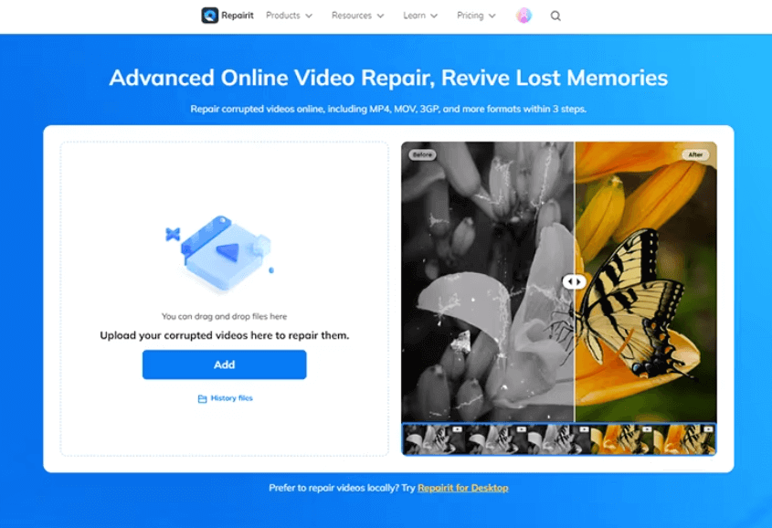 Video Repair