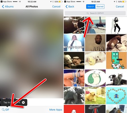 GIF search