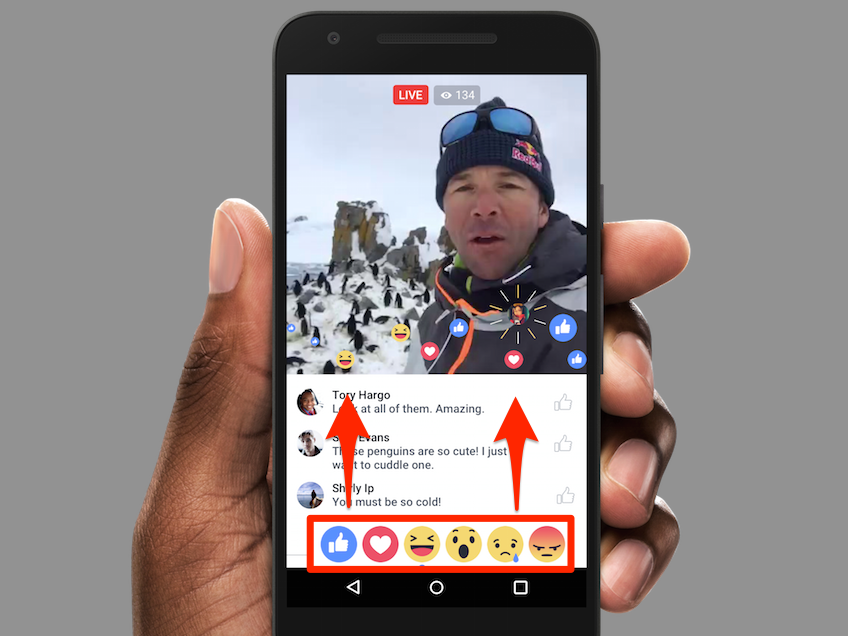 go-live