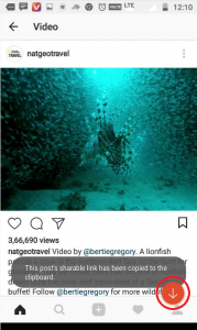 How To Download A Videos From Instagram 