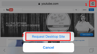 Safari Setting