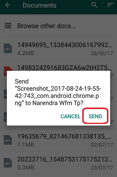 Send document whatsapp