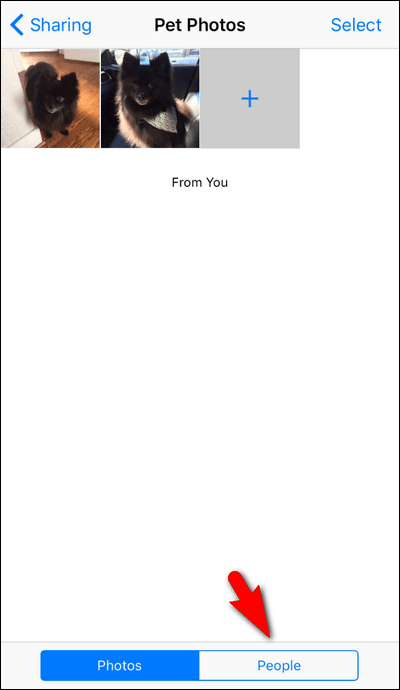 Share your iCloud Photos with Android Users