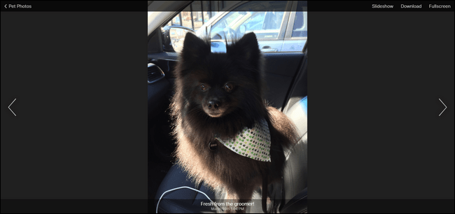 Share your iCloud Photos with Android Users