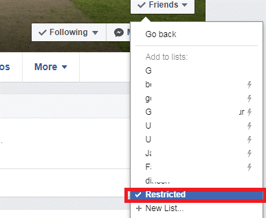 What is restricted list 