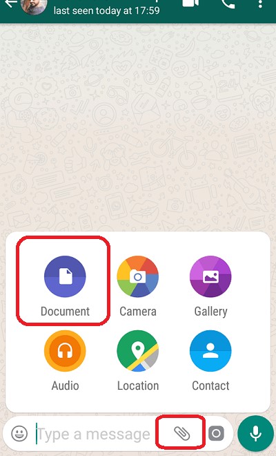 Whatsapp document