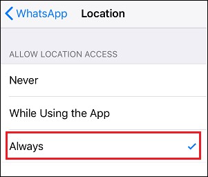 Whatsapp location iPhone