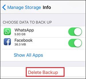 delete backup icloud