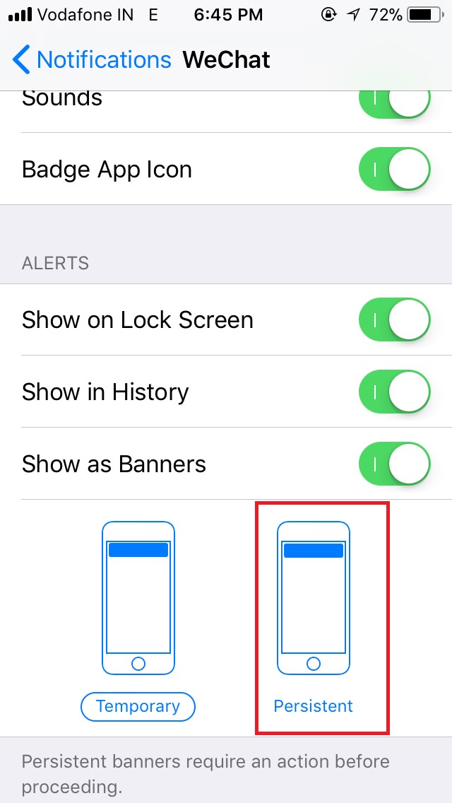 iPhone persistant option