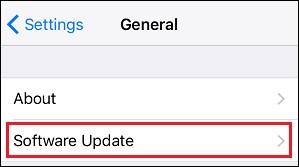 iPhone software update