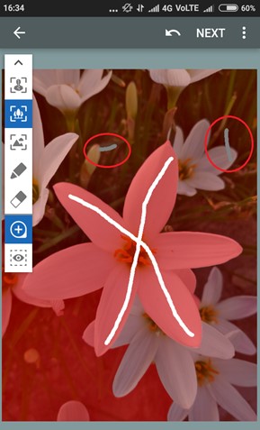 photo edit brush