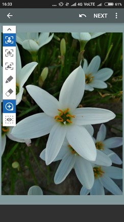 photo effect