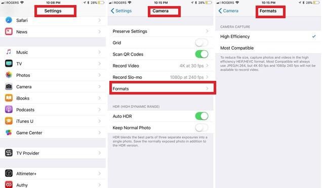 HEVC codec video formats