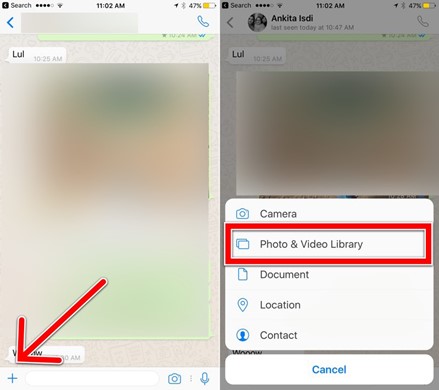 whatsapp photo and video library